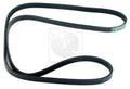 Courroie d'accessoires NPS D111U14 (OE 9004831056)
