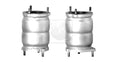 Catalyseur NPS D431O05 (OE 96427688)