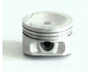 Piston NPS D901O10