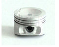 Piston NPS D901O10