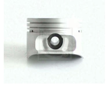 Piston NPS D901O10