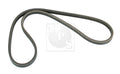 Keilrippenriemen NPS H111A14 (OE 31110PK1505)