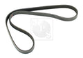 Correa auxiliar NPS H111A29 (OE 7702740)