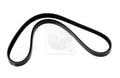 Auxiliary belt NPS K111A06 (OE 252122A300)