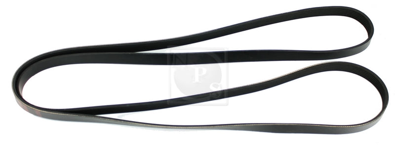 Courroie d'accessoires NPS K111A08 (OE 252122F010)