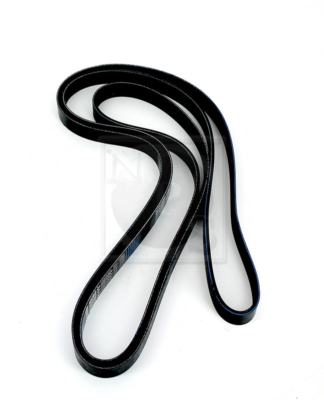 Courroie d'accessoires NPS K111A12 (OE 252122G700)