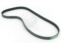 Courroie d'accessoires NPS M111A07 (OE F80215907A)