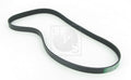 Courroie d'accessoires NPS M111A21 (OE C20115907B)