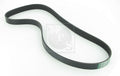 Courroie d'accessoires NPS M111A23 (OE RF5D15909A9F)
