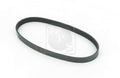 Courroie d'accessoires NPS M111A51 (OE RFG113813A)