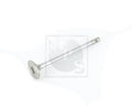 Auslassventil NPS M921I88 (OE MN176598)