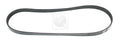 Correa auxiliar NPS N111N57 (OE 119202F200)