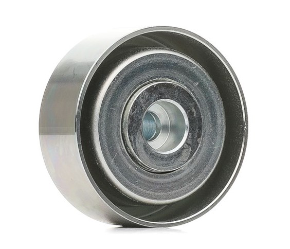 Tendeur de courroie d'accessoires NPS P110A06 (OE 16 138 401 80)