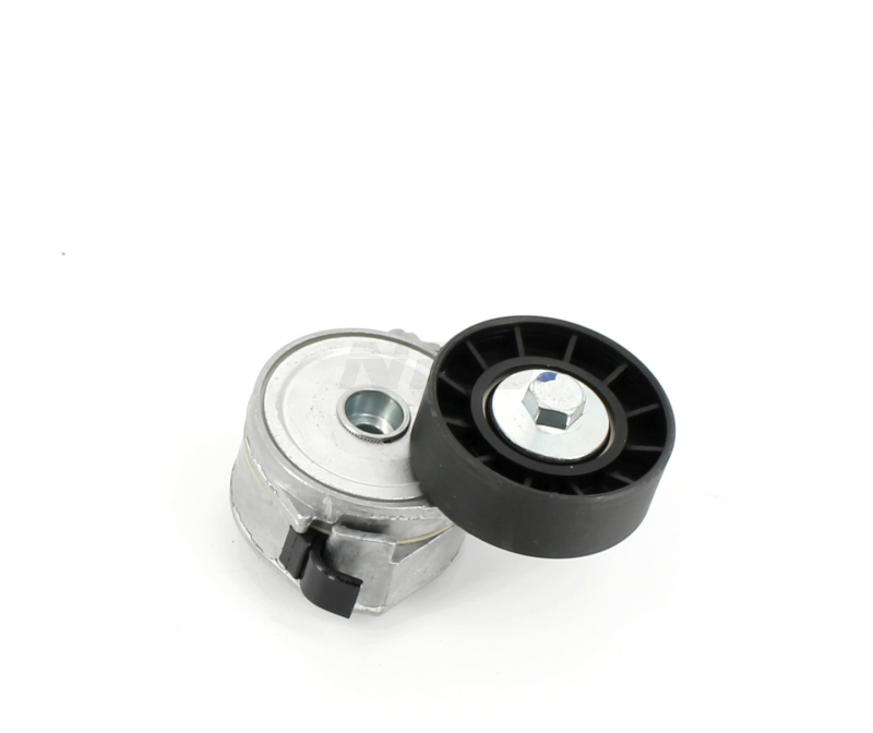 Tensor de correa auxiliar NPS S110I17 (OE 49160-67G00)