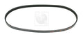 Correa auxiliar NPS S111U08 (OE 9771322260)