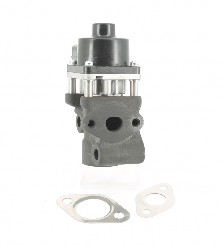 AGR-Ventil NPS S564I09 (OE 71793801)