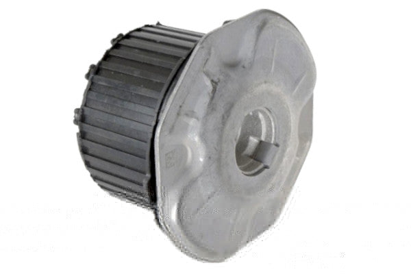 Silentblock de eje GOOM SB-0161 (OE A2183510200)