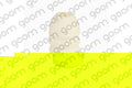 Tope de amortiguador GOOM SBB-0032 (OE 357 412 303 F)