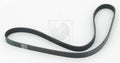 Correa auxiliar NPS T111A44 (OE 99365-81150)