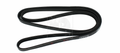 Keilrippenriemen NPS T111A81 (OE 90916-02475)