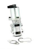AGR-Ventil NPS T564A00 (OE 256200R012)