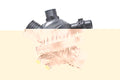 Thermostat GOOM THE-0055
