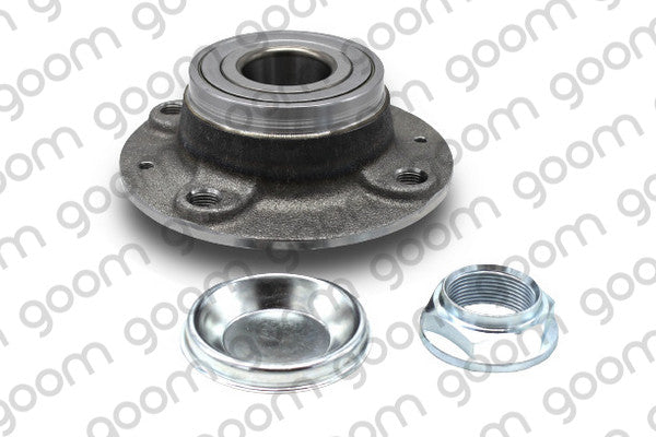 Wheel hub GOOM WBH-0261 (OE 374828)