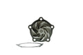 Wasserpumpe Aisin WPT-051 (OE 1610069037)