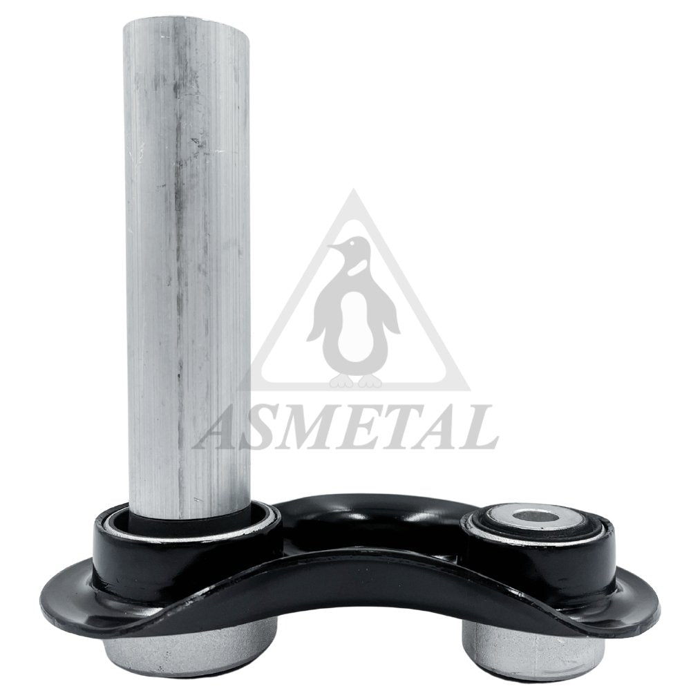 Brazo de suspensión trasero ASMETAL 23BM0399