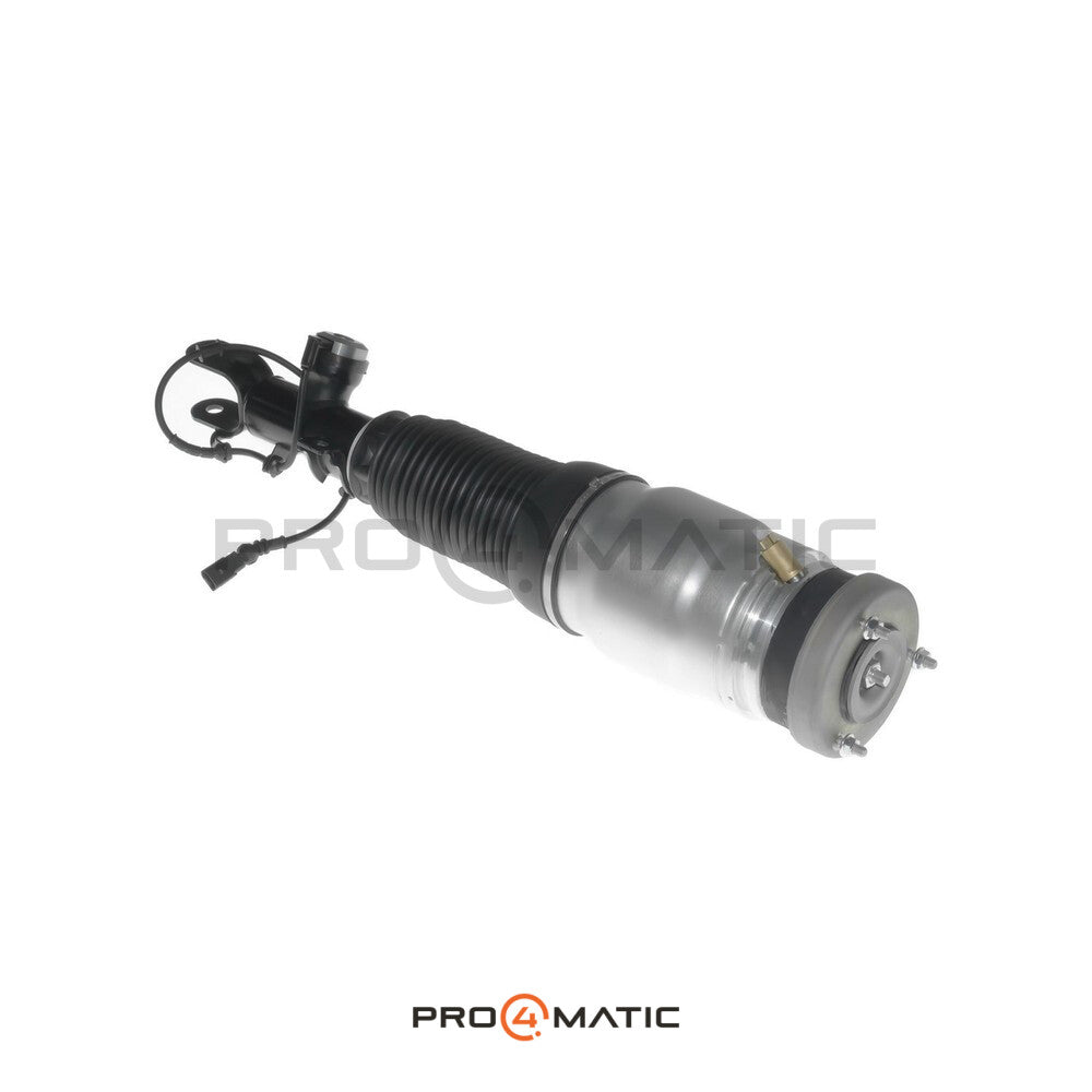 Hyundai Equus Amortiguador Neumático Delantero Derecho 54606-3N530 (Suspensión Neumática) (3)