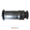 Buick Rainier Balona Neumática Trasero 25815604 (Suspensión Neumática ; Fuelle ; Muelle) (1)
