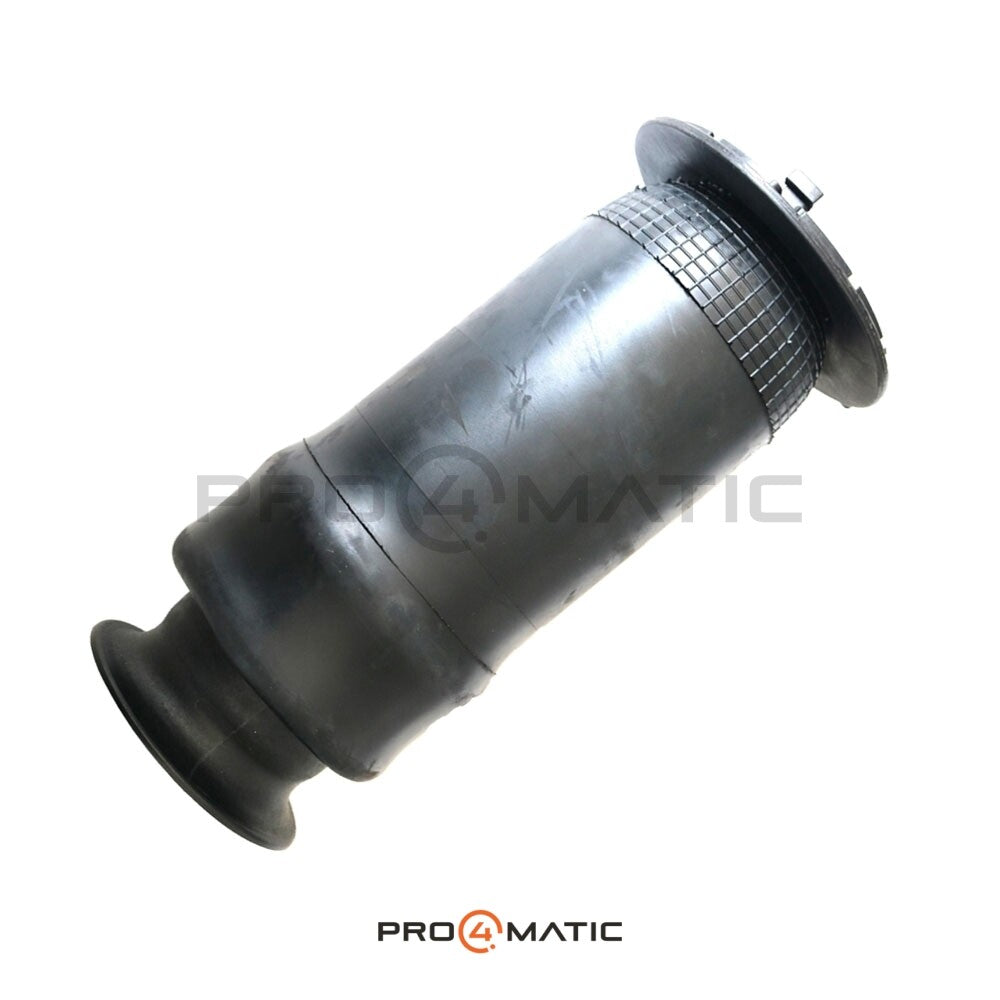 Buick Rainier Balona Neumática Trasero 25815604 (Suspensión Neumática ; Fuelle ; Muelle) (3)