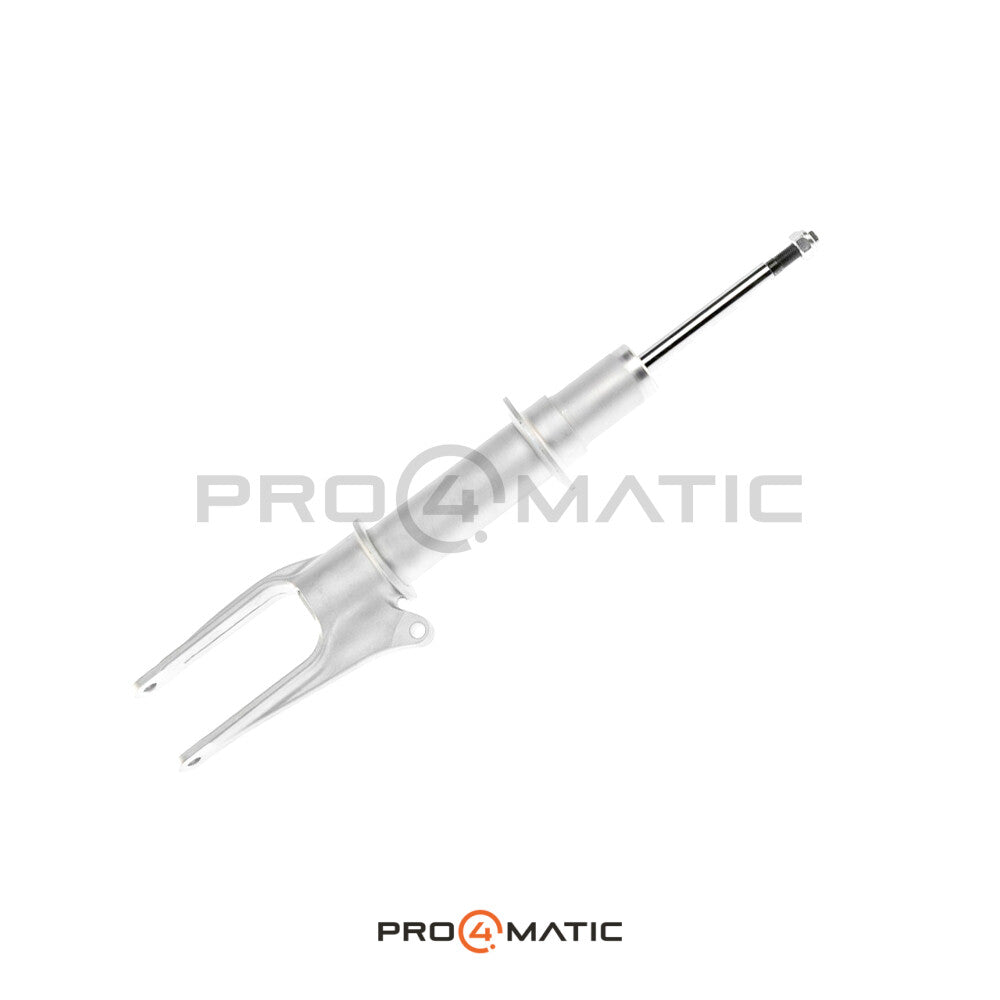 Porsche Panamera (970.1) Stoßdämpfer vorne 97034304104 (Luftfederung) (1)