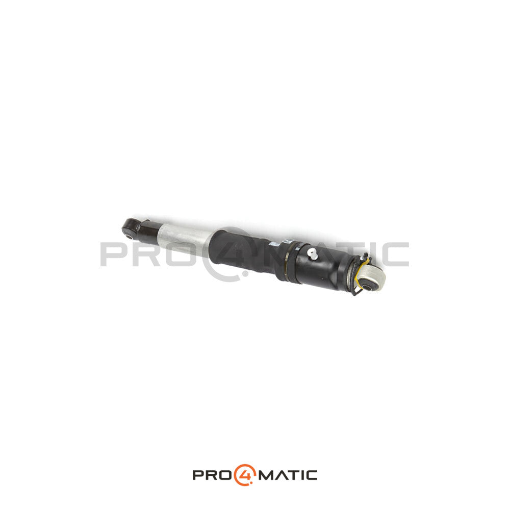 Chevrolet Tahoe Luftfederbein hinten 84176675 (Luftfederung) (4)