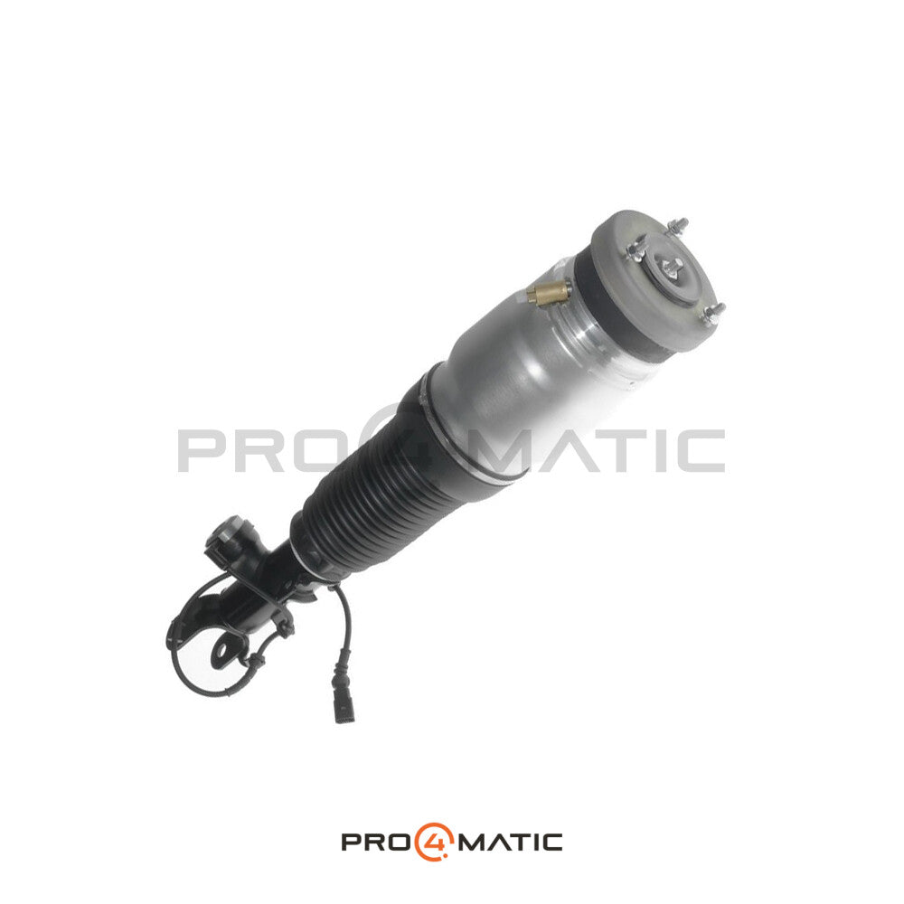 Hyundai Equus Amortiguador Neumático Delantero Derecho 54606-3N530 (Suspensión Neumática) (2)
