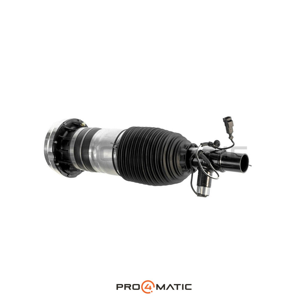 Lincoln Aviator (U611) Amortiguador Neumático Delantero Izquierdo LC5Z3C199A (Suspensión Neumática) (5)