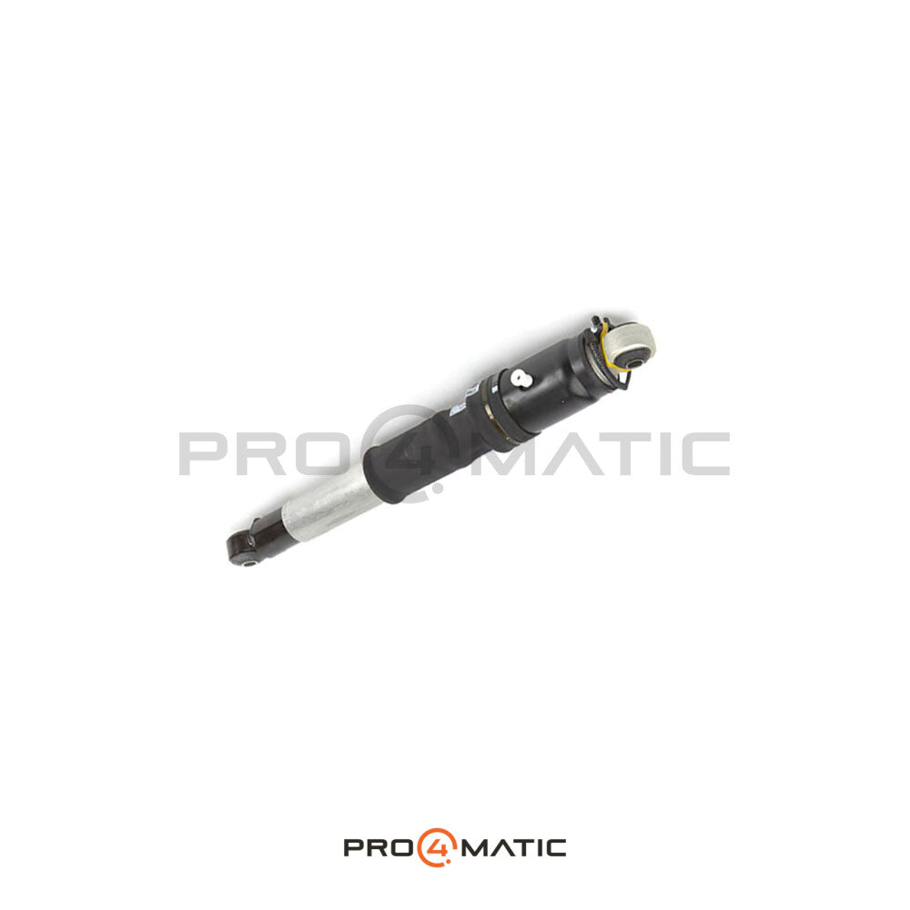 Chevrolet Tahoe Luftfederbein hinten 84176675 (Luftfederung) (3)
