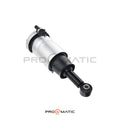 Ford Expedition (4 Wheel Drive) Amortiguador Neumático Trasero Izquierdo 7L1Z5A891A (Suspensión Neumática) (1)