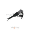 Audi A8 D3 4E Amortiguador Neumático Trasero Derecho 4E0616002P (Suspensión Neumática) (1)