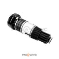 Audi Q8 e-tron Balona Neumática Delantero 4KE616039E (Suspensión Neumática ; Fuelle ; Muelle) (1)