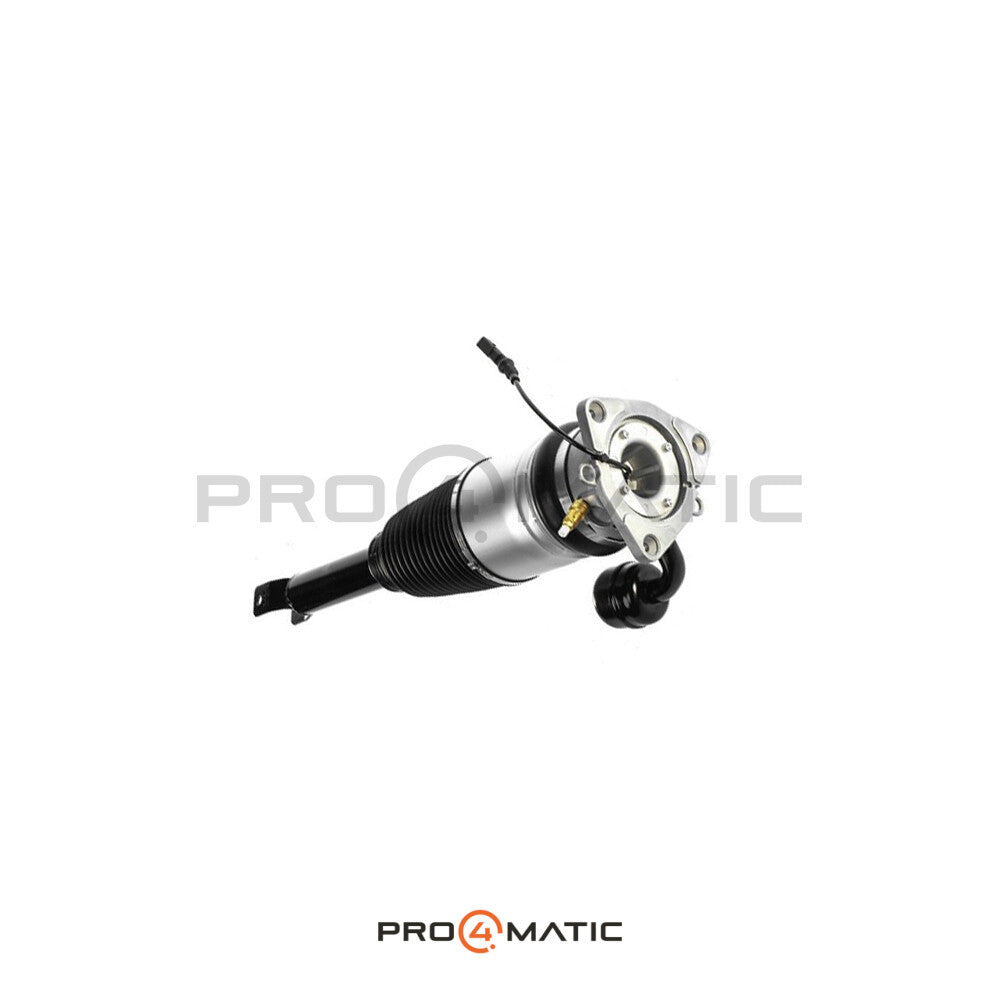 Bentley Continental GTC Luftfederbein hinten rechts 3W5616002A (Luftfederung) (3)