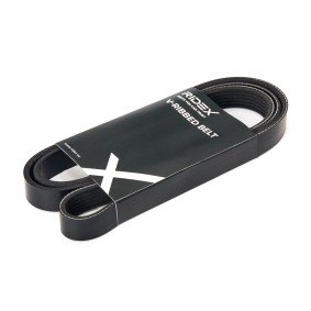 Correa Poli V 6PK1560 BMW Peugeot Ford (1)