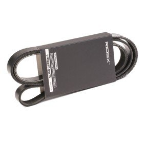 Correa Poli V 6PK1560 BMW Peugeot Ford (2)