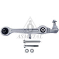 Brazo Suspensión Audi A4/Exeo Delantero (1)