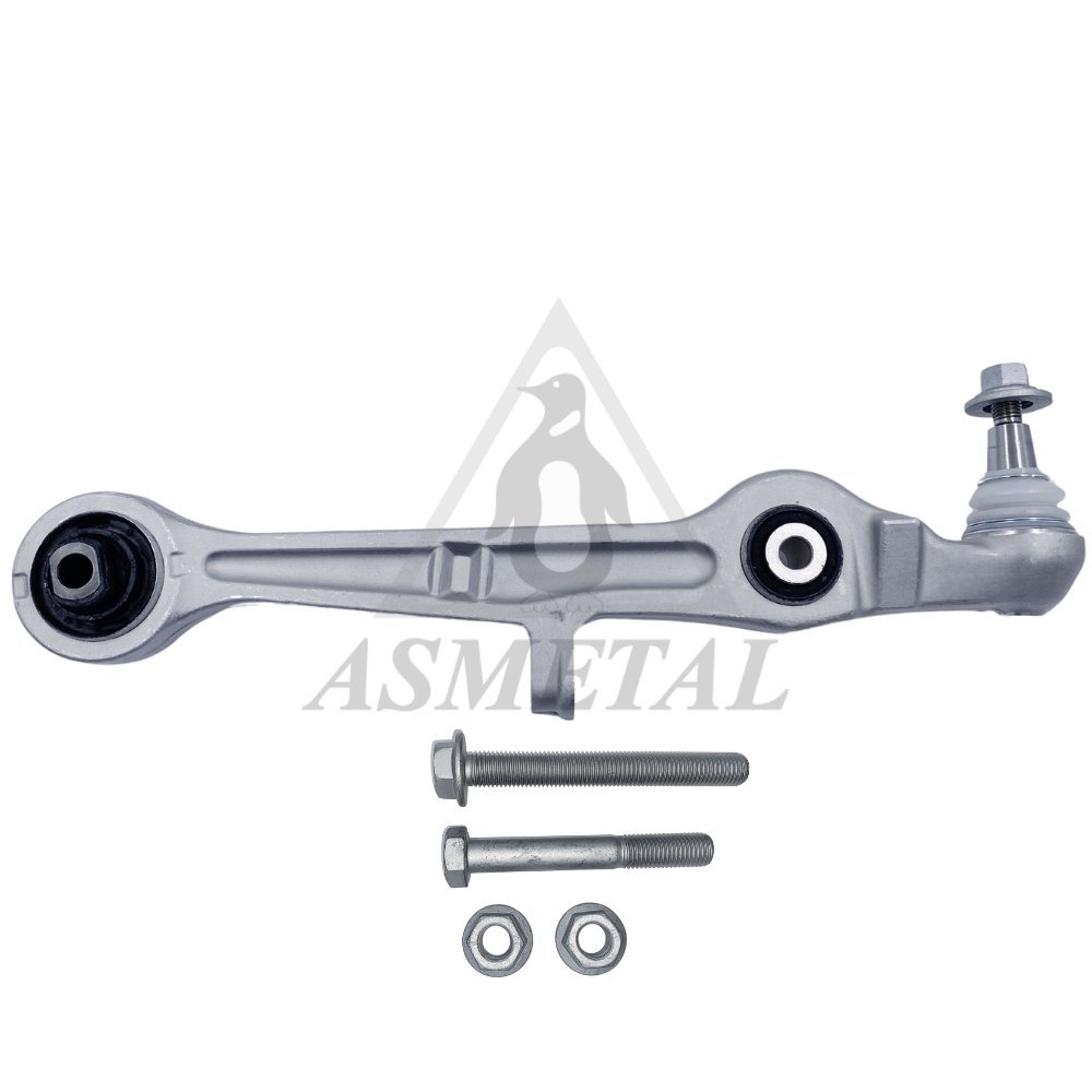 Brazo Suspensión Audi A4/Exeo Delantero (1)