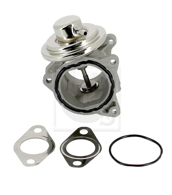 Válvula EGR Audi VW Seat Skoda 1.9 2.0 TDI (1)