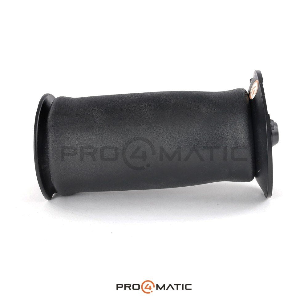 Balona Suspensión BMW Serie 5 E61 Trasera (2)