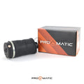 Balona trasera Mercedes Clase R W251 Airmatic OEM (1)