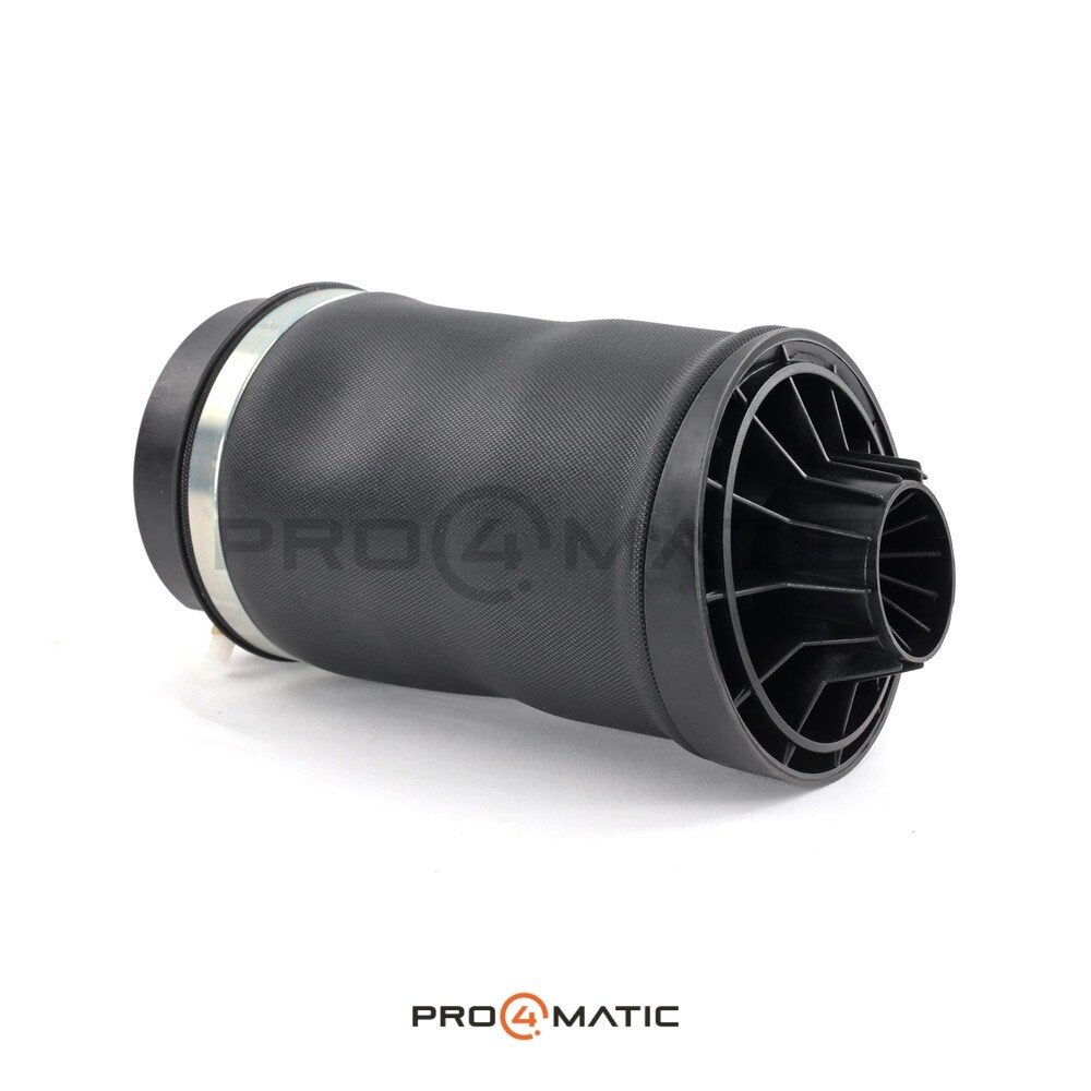 Balona trasera Mercedes Clase R W251 Airmatic OEM (3)