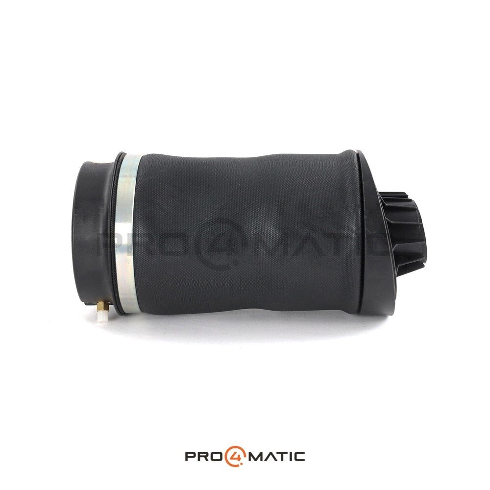 Balona trasera Mercedes Clase R W251 Airmatic OEM (2)